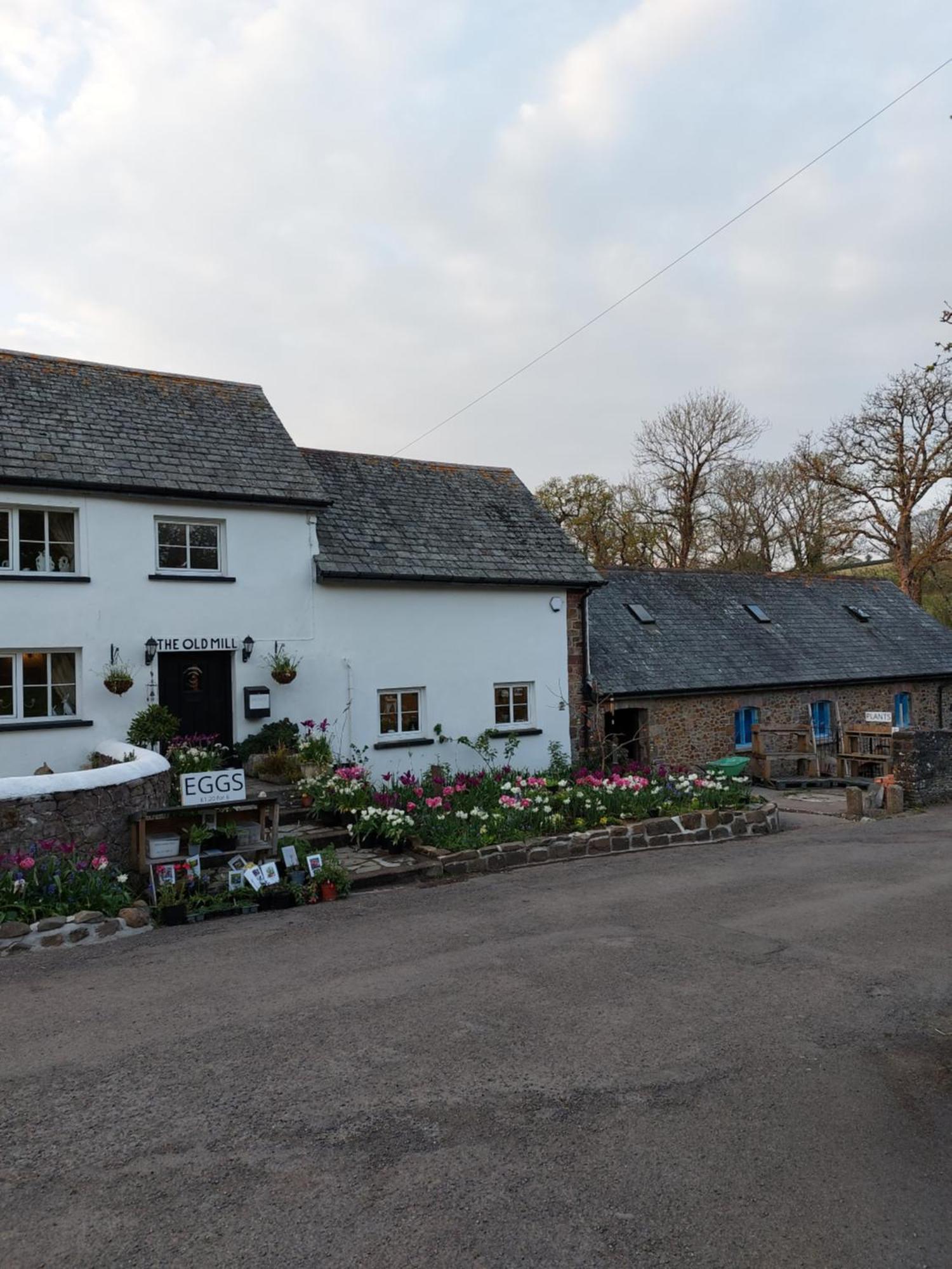 أوكيهامبتن The Millers Cottage المظهر الخارجي الصورة